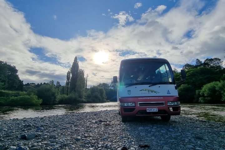 a flock of seagulls standing on a dirt road