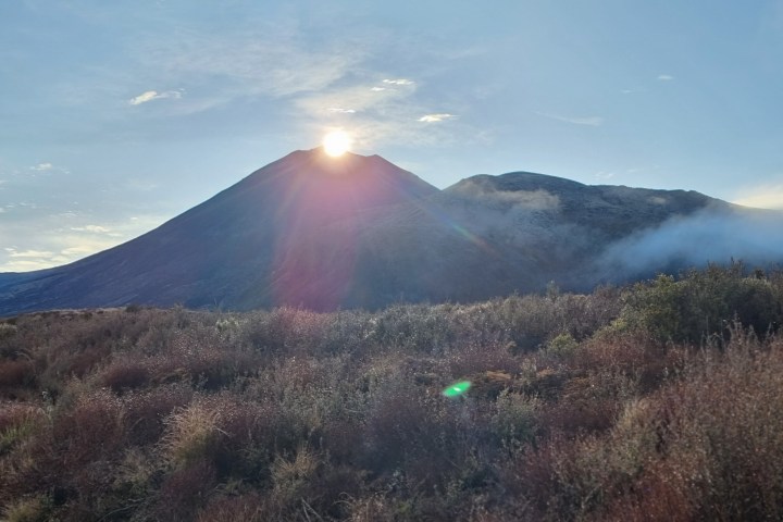 a close up of a lush green hillside