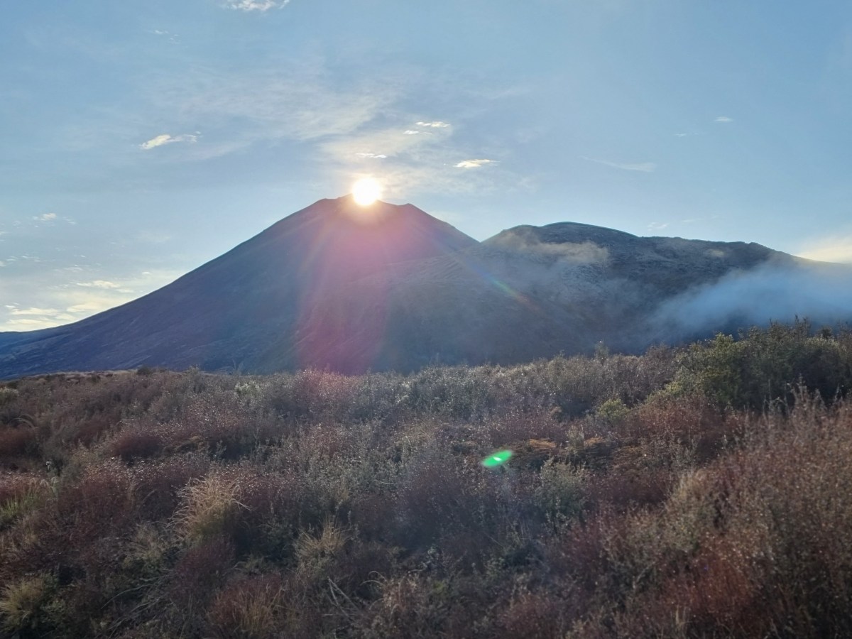 a close up of a lush green hillside