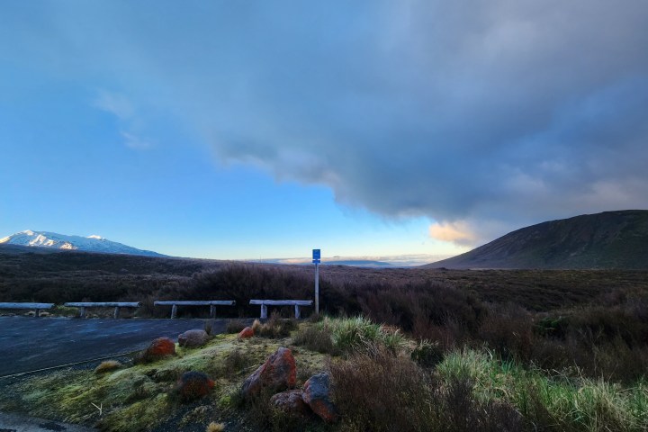 a close up of a hillside next to a body of water
